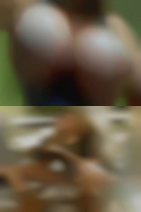 SERIOUS fucking -MINDED naked women ONLY!! SERIOUS fucking -MINDED naked women ONLY!!